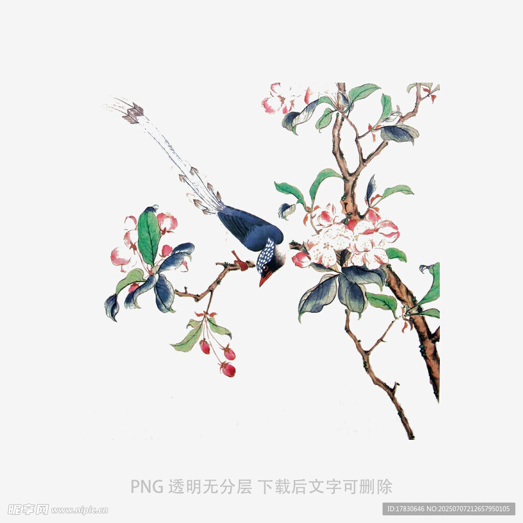 花鸟枝头图