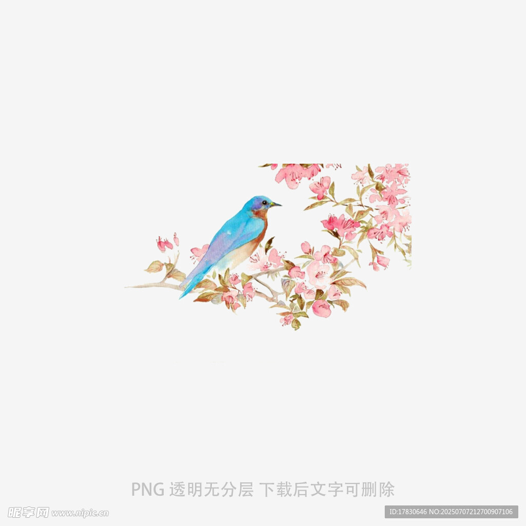 蓝鸟栖于繁花枝头