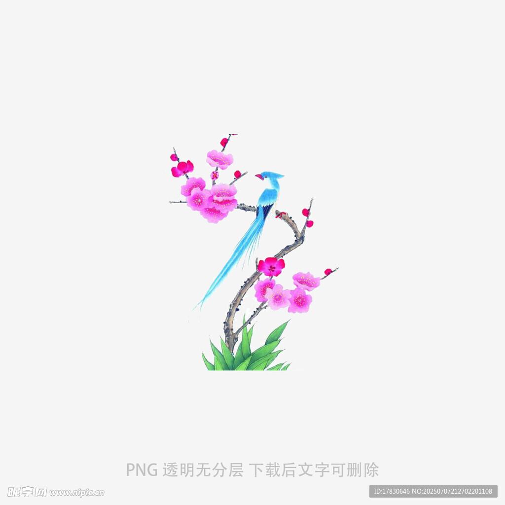 蓝鸟栖于粉色花枝