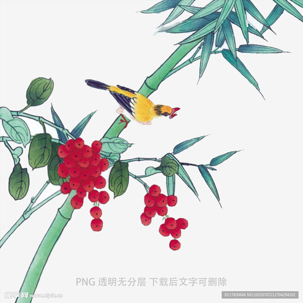 竹枝上的鸟与红果