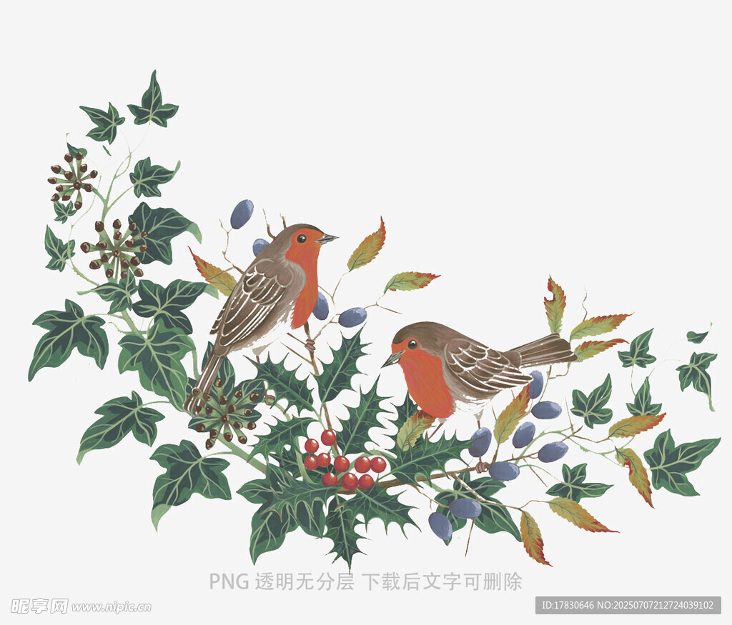 枝头双鸟与繁茂植物图