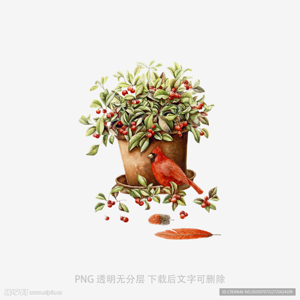 插画中的红鸟与绿植花盆