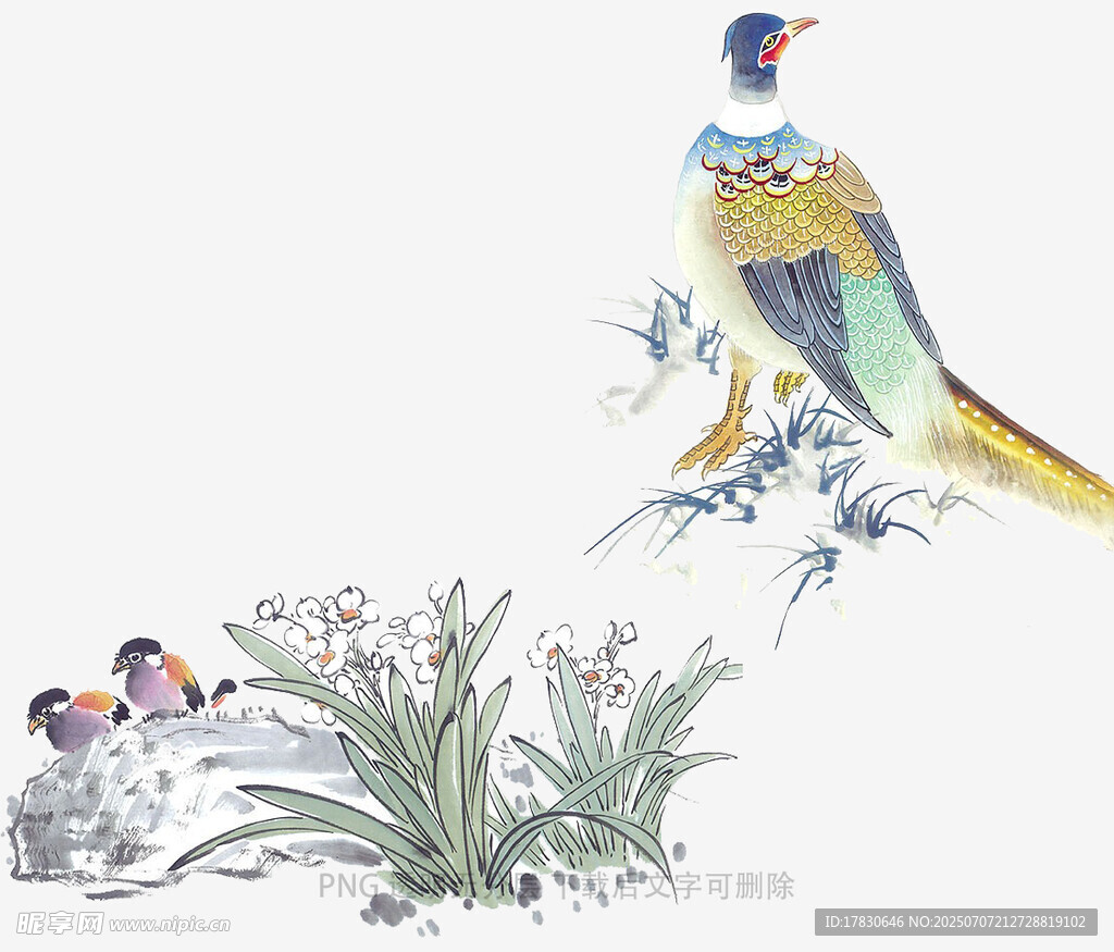 花鸟图绘