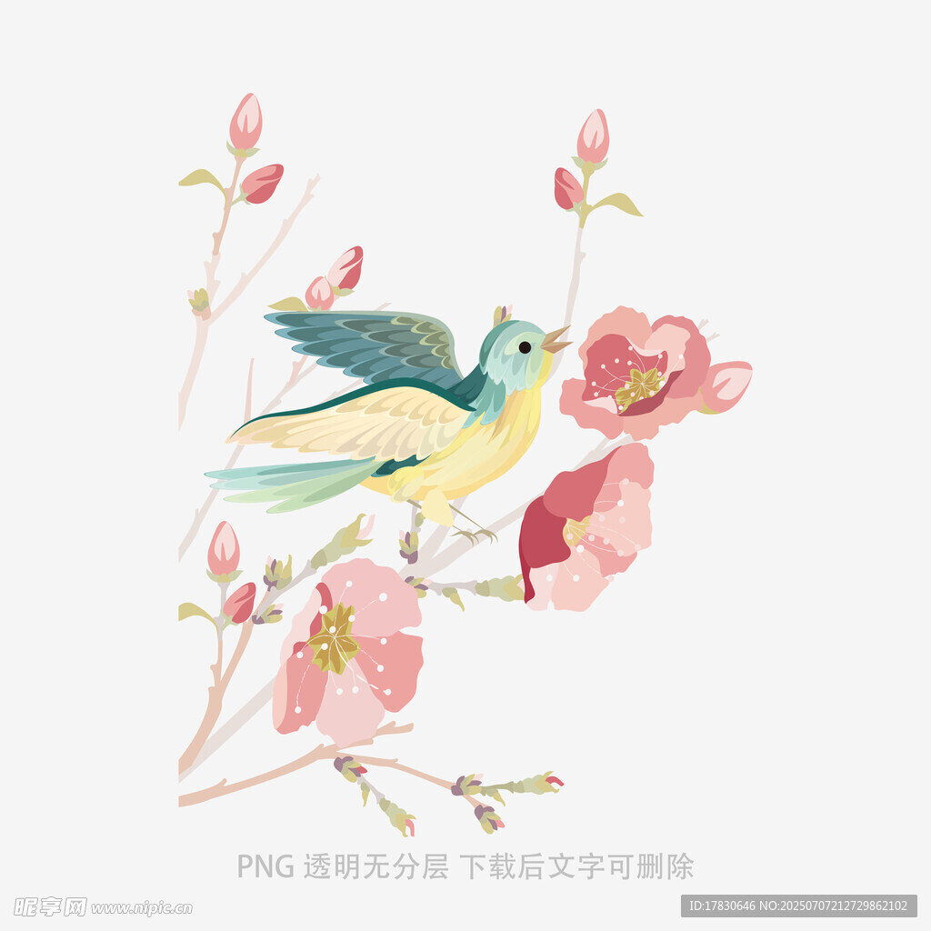 枝头飞鸟伴繁花