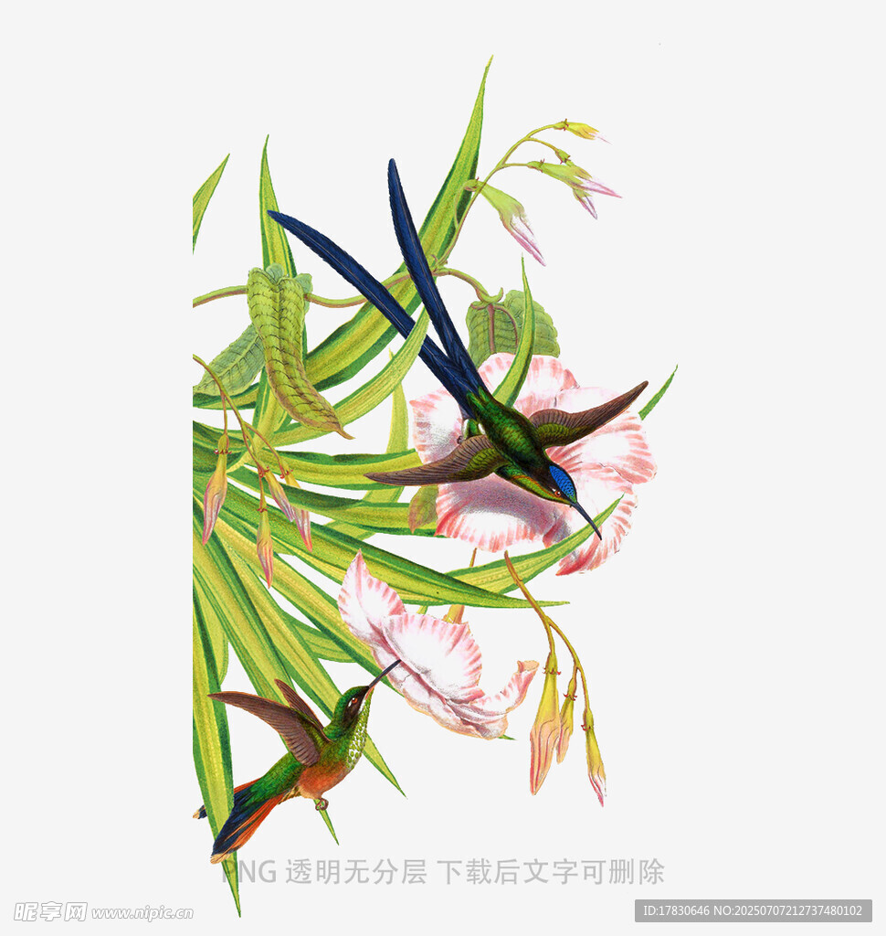 双燕栖于繁花绿叶间