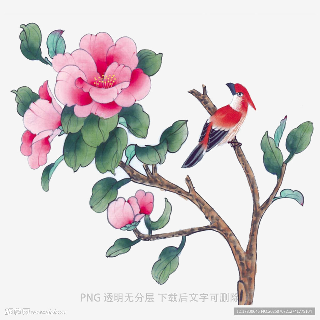 枝头花鸟图