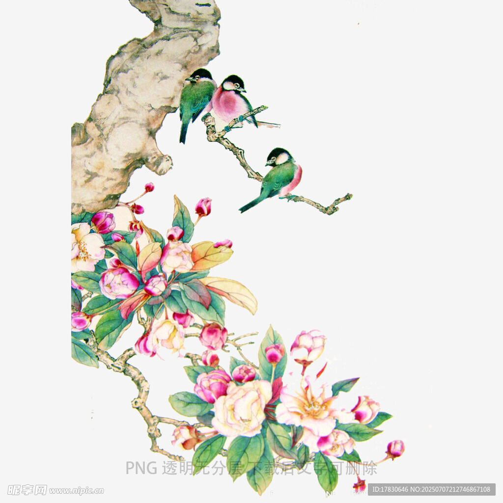 花鸟