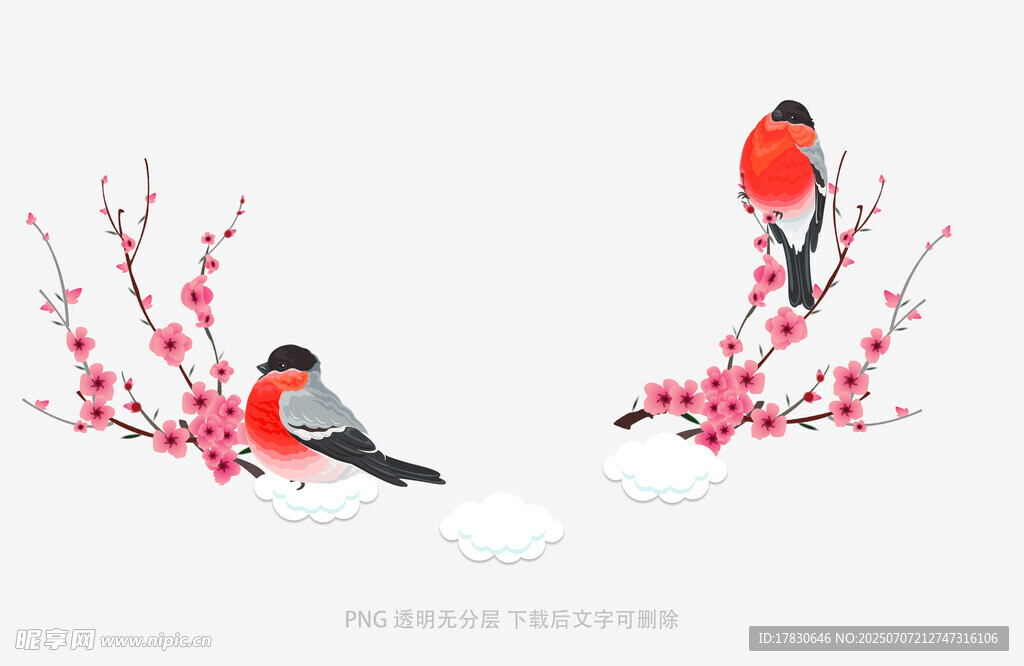 枝头双鸟赏红梅