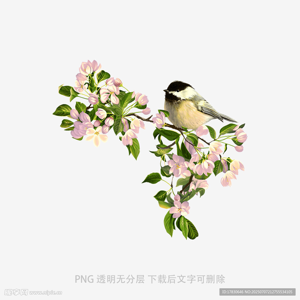 枝头小鸟伴繁花