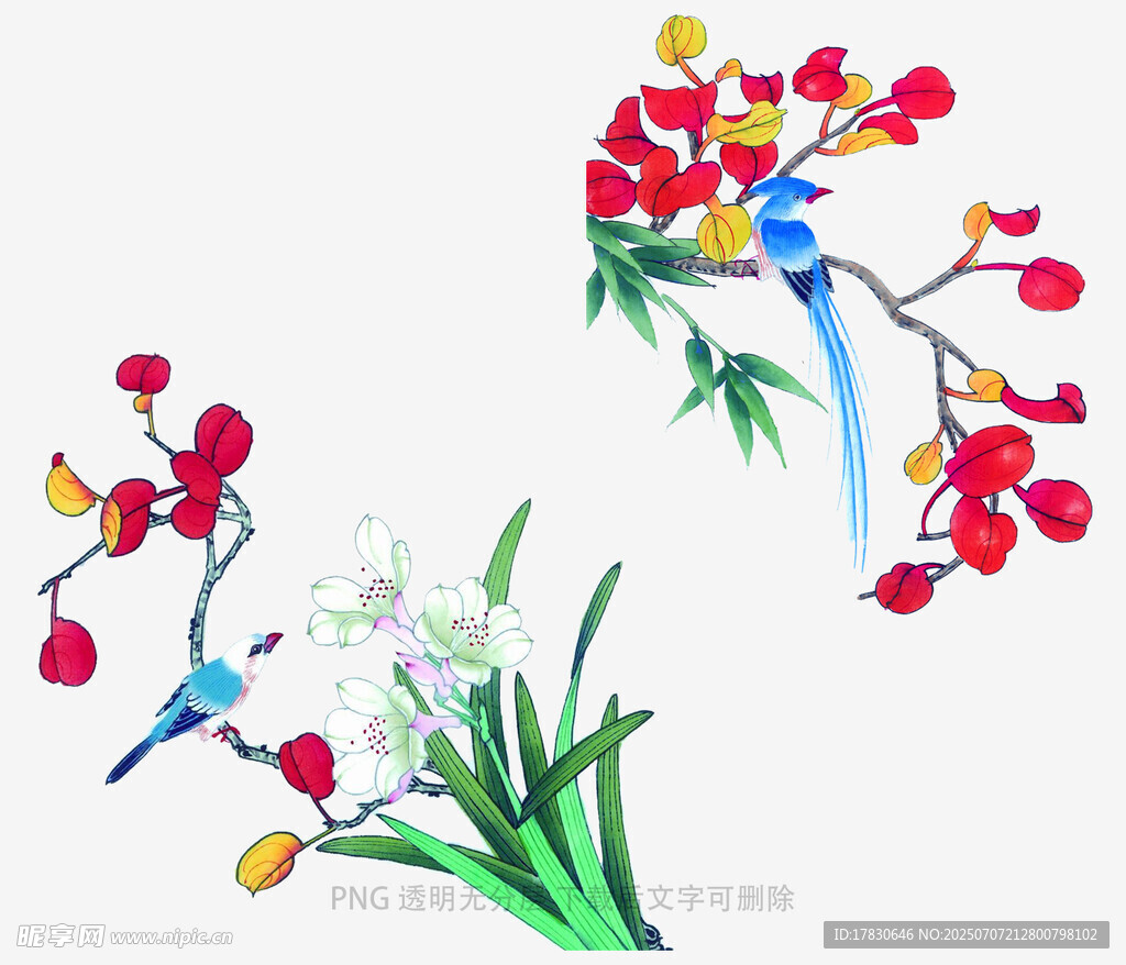 花鸟工笔画作
