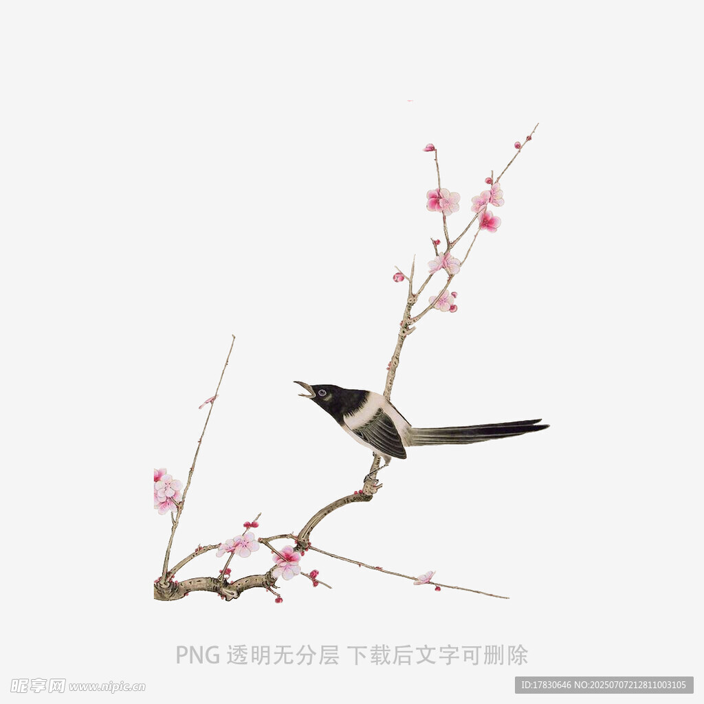 花鸟