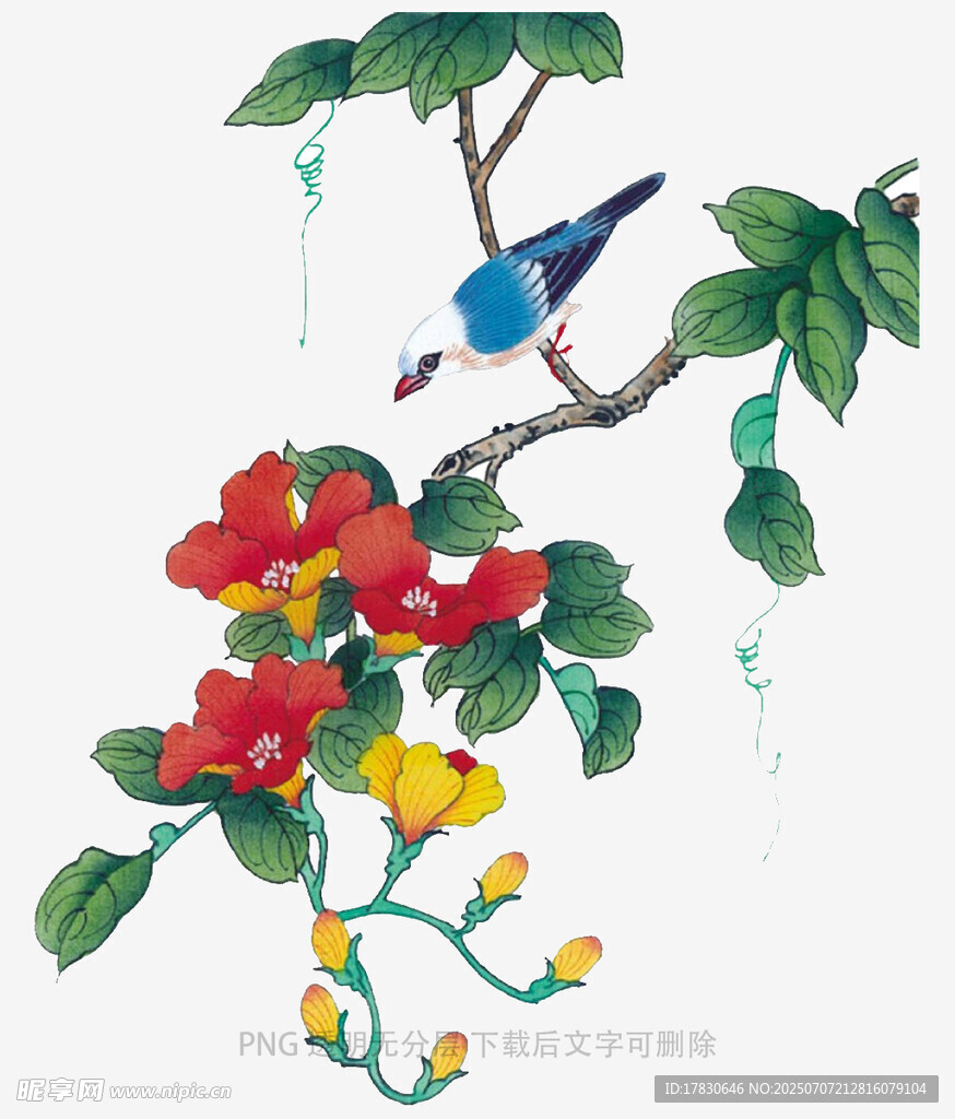 花鸟