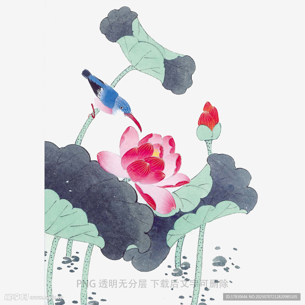 水墨荷花翠鸟图