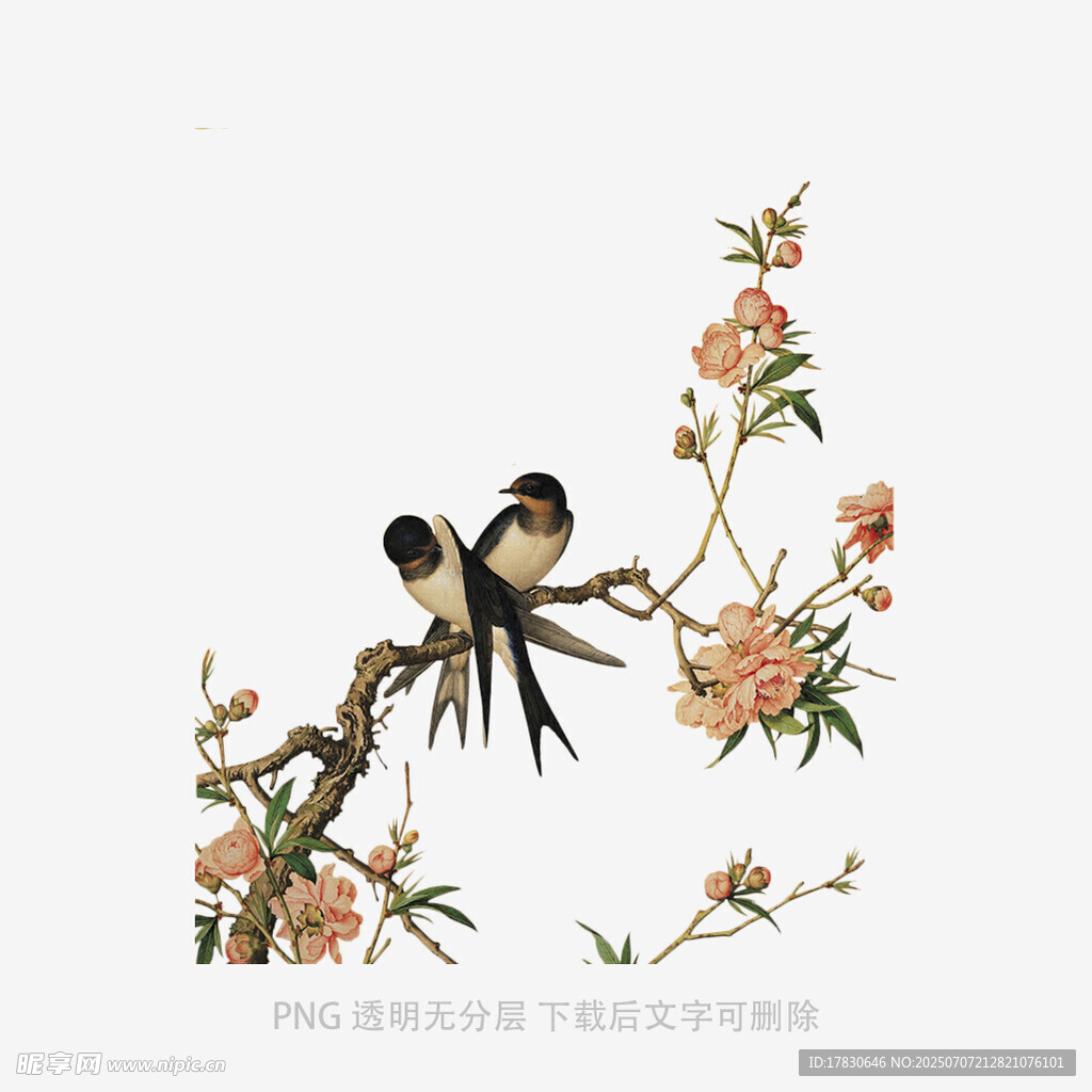 双燕栖花图