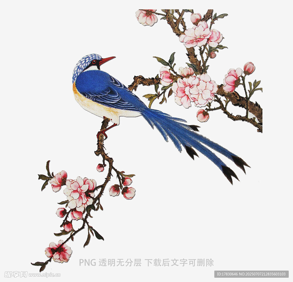 蓝鸟栖于繁花枝头