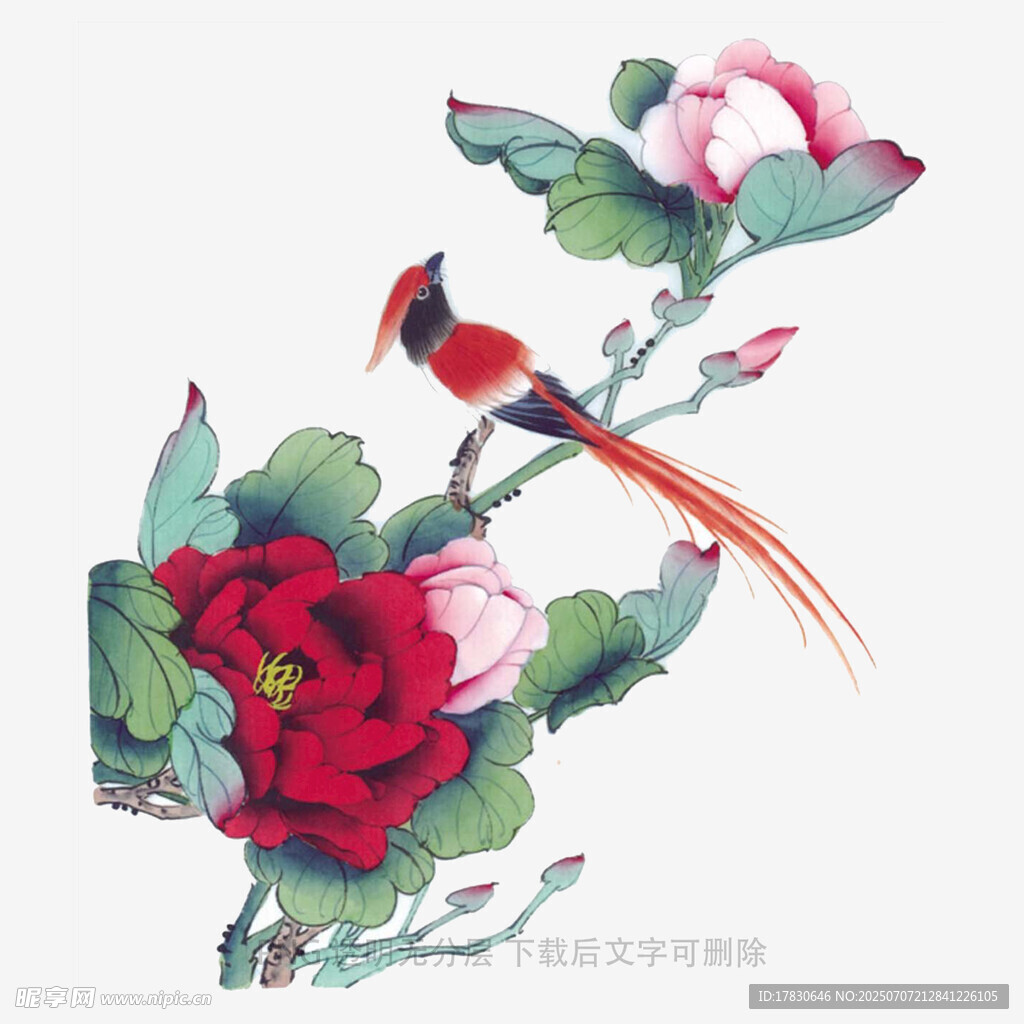 花鸟
