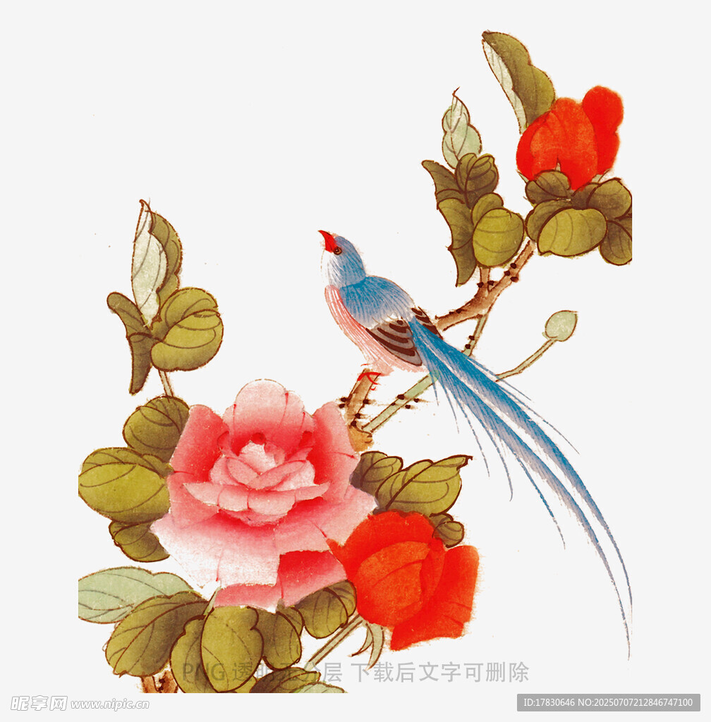 花鸟