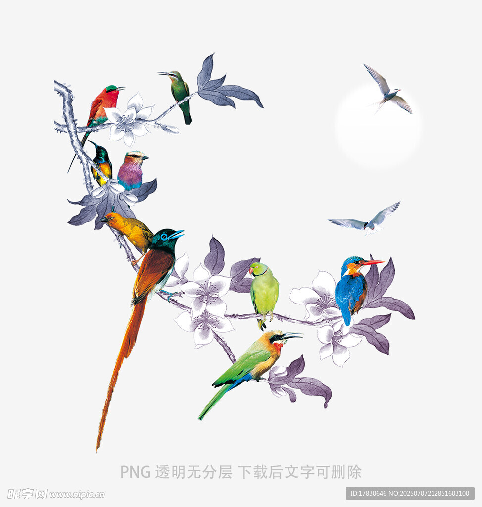 枝头群鸟图