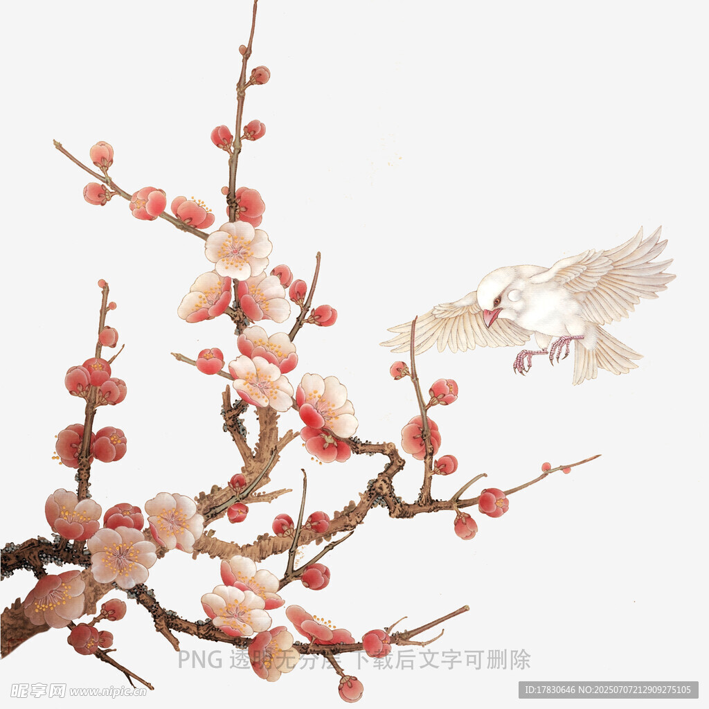 红梅枝头飞鸟图