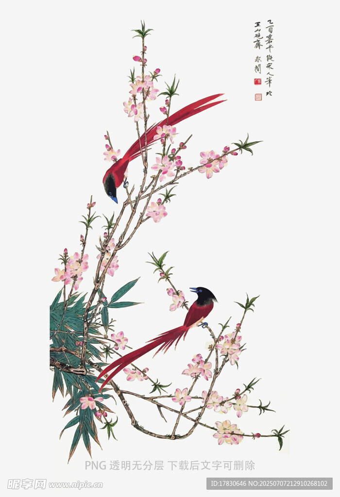 花鸟