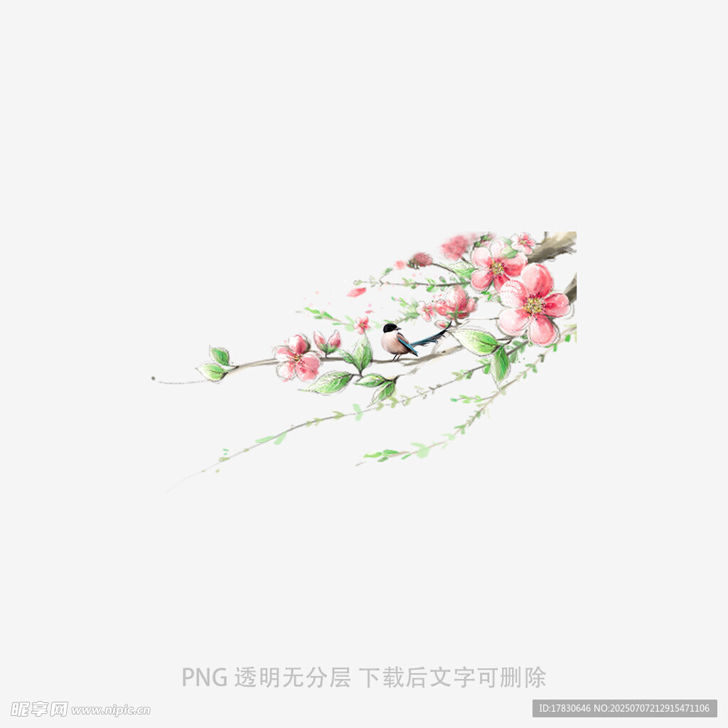 枝头繁花伴飞鸟