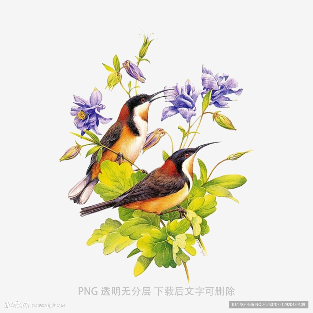 双鸟栖花图
