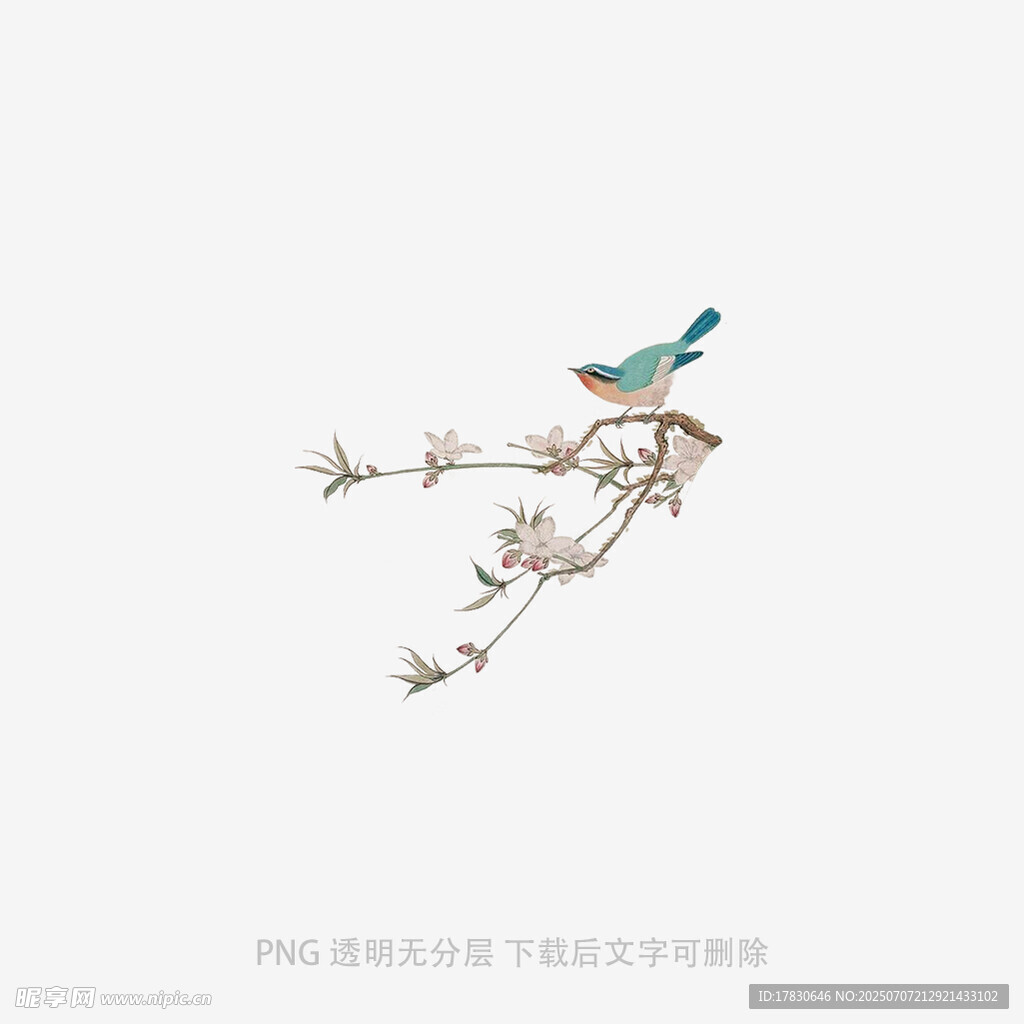 枝头小鸟
