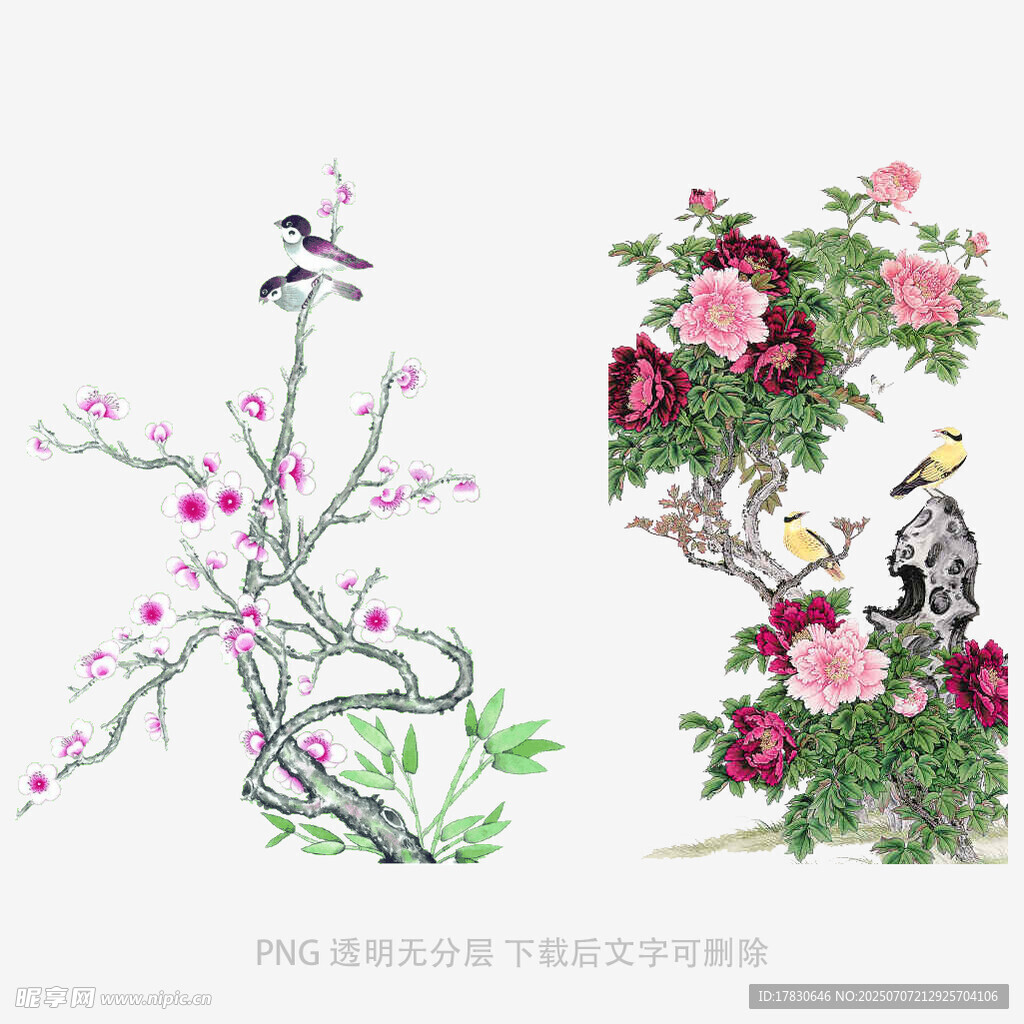 中式花鸟工笔画图案素材