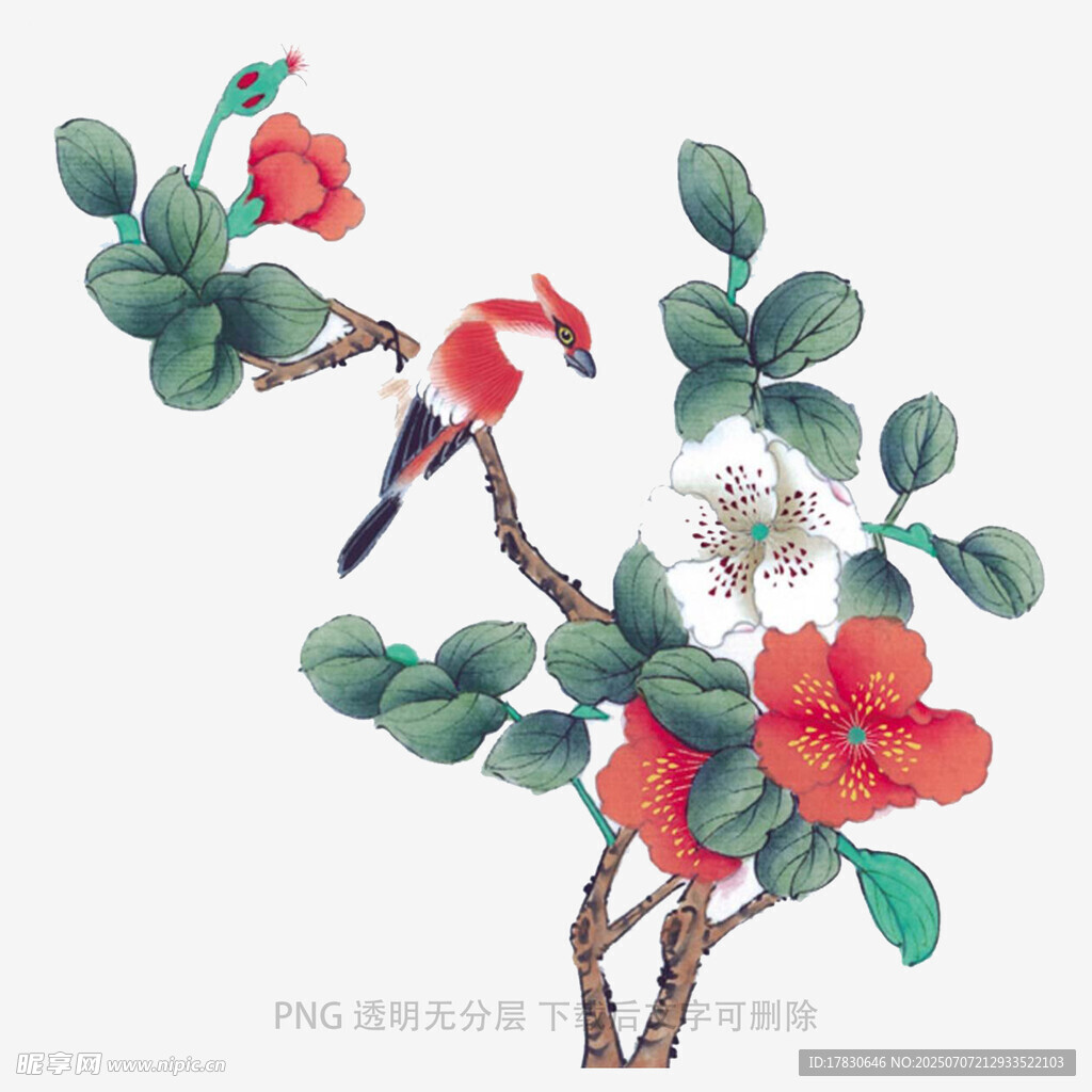 枝头花鸟图