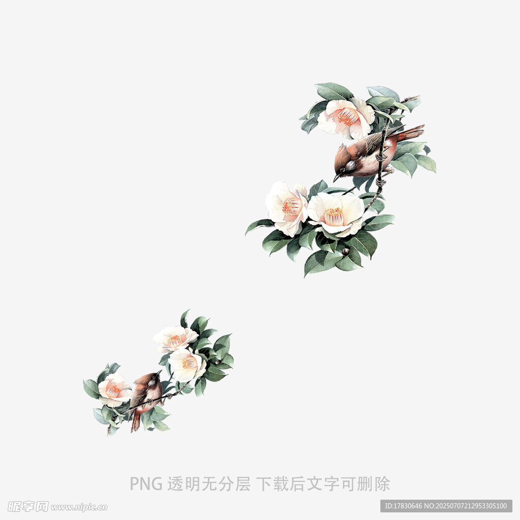 花鸟