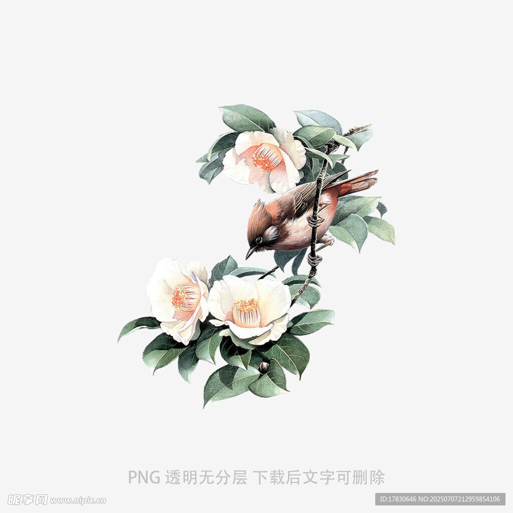 花鸟牡丹图