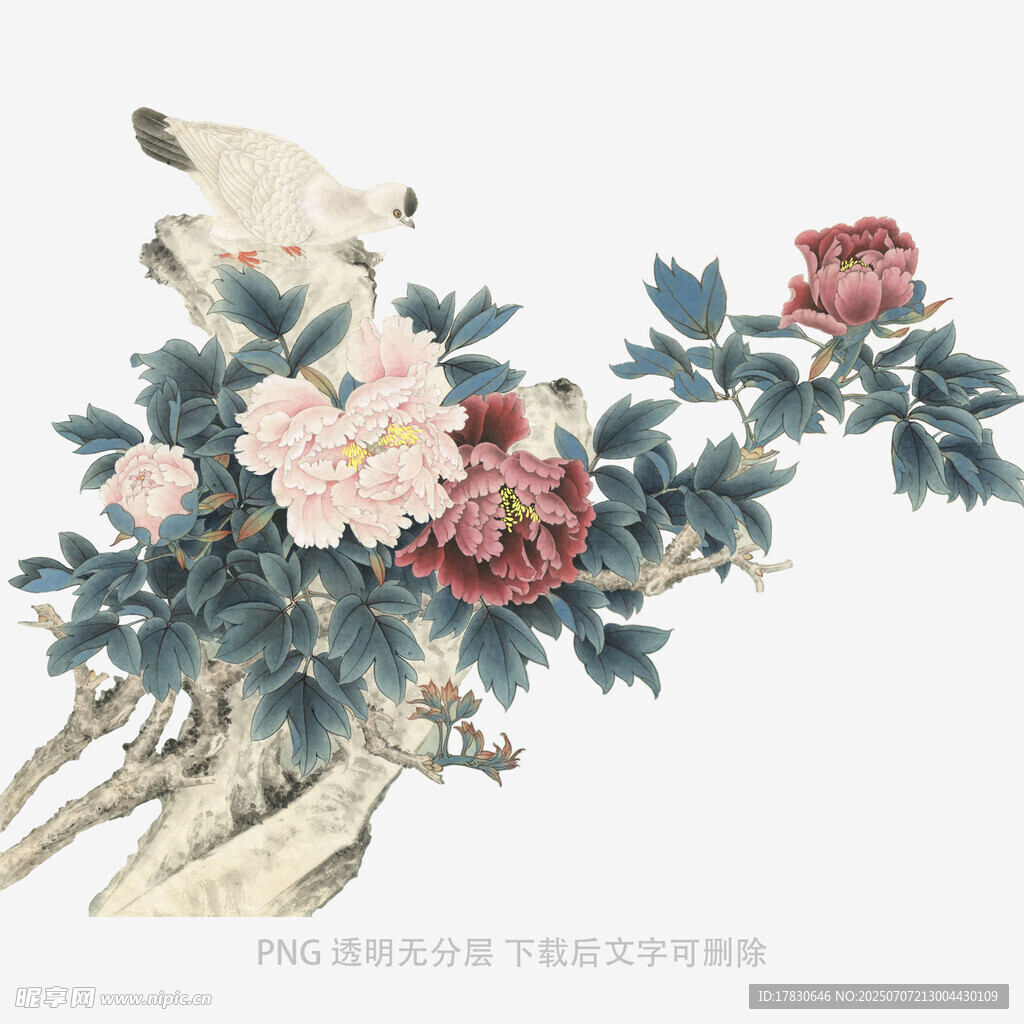 花鸟