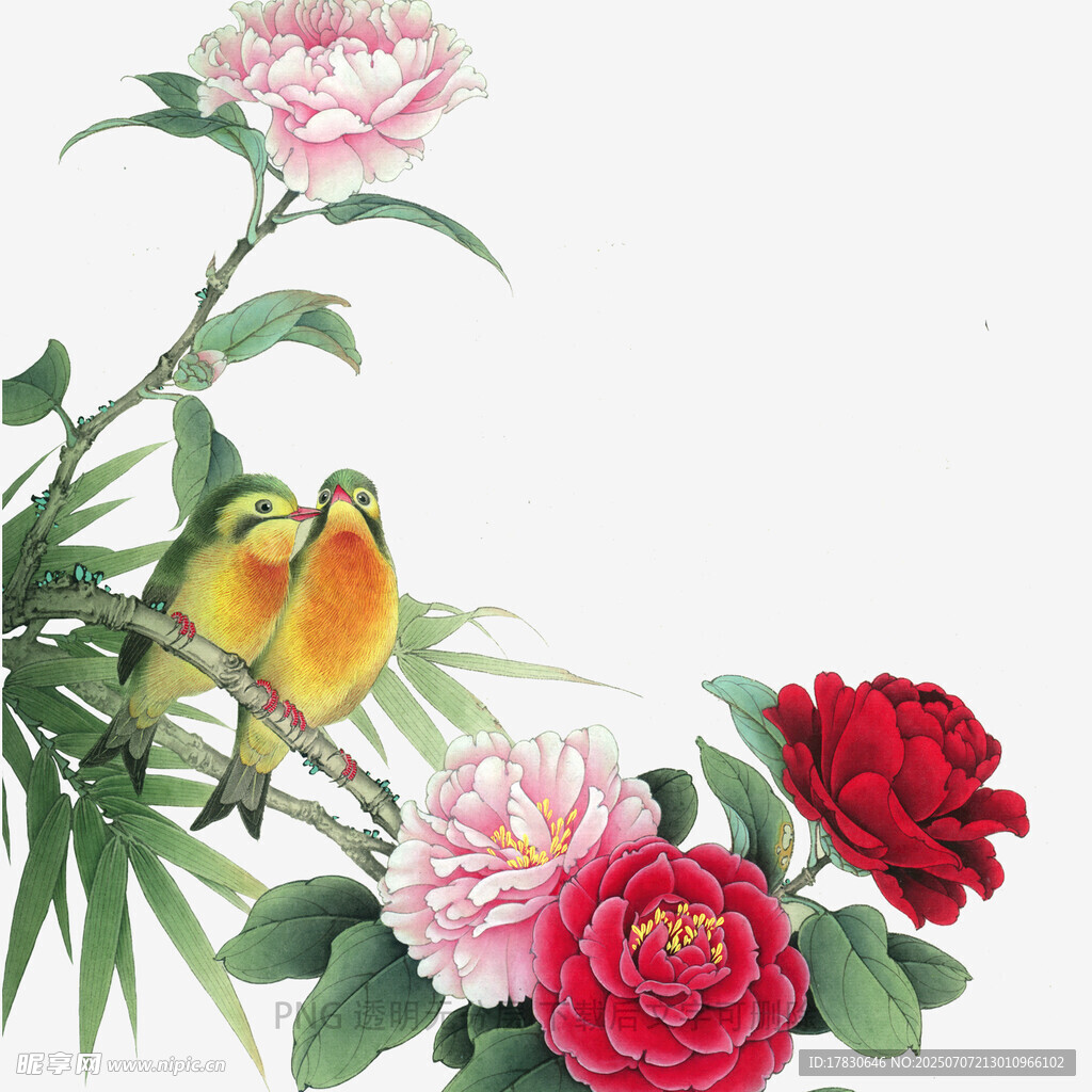 花鸟