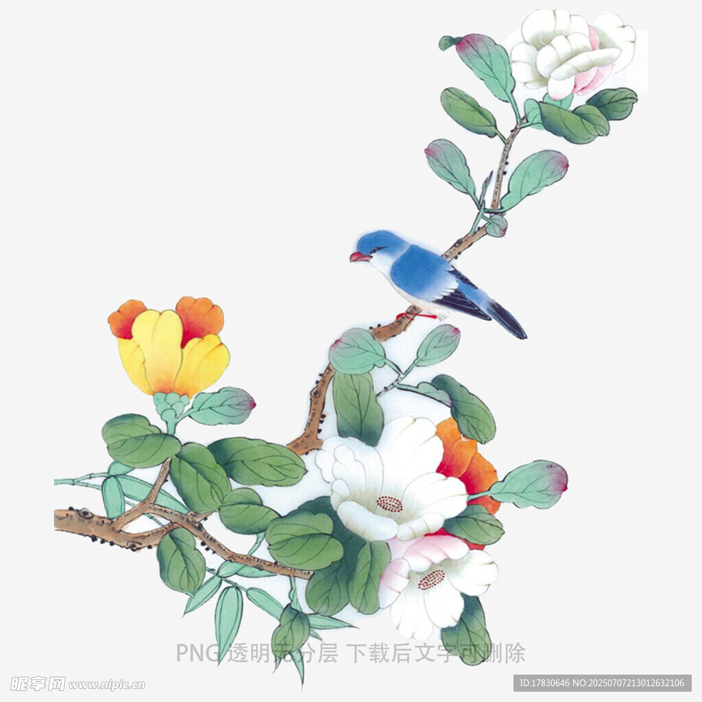 枝头小鸟伴繁花