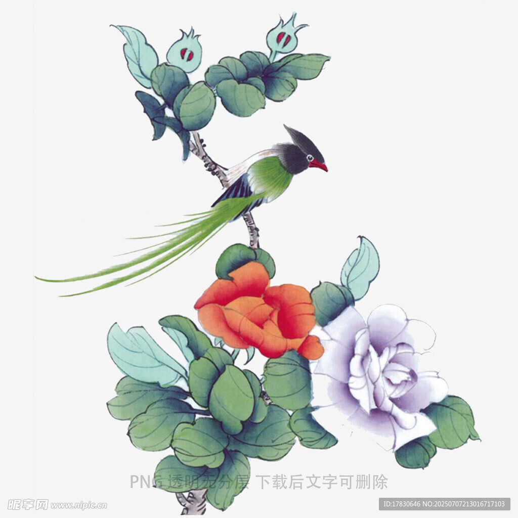 花鸟