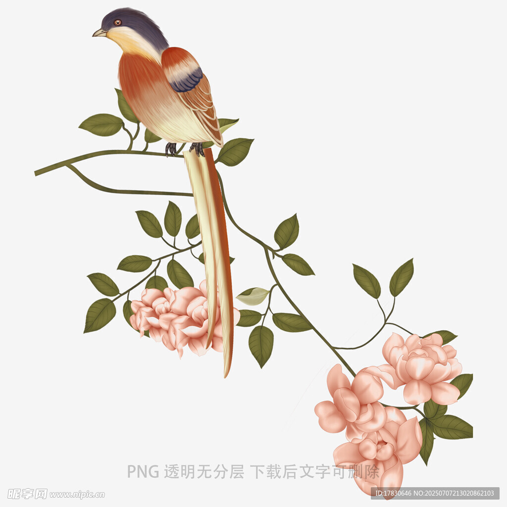 枝头栖鸟伴繁花