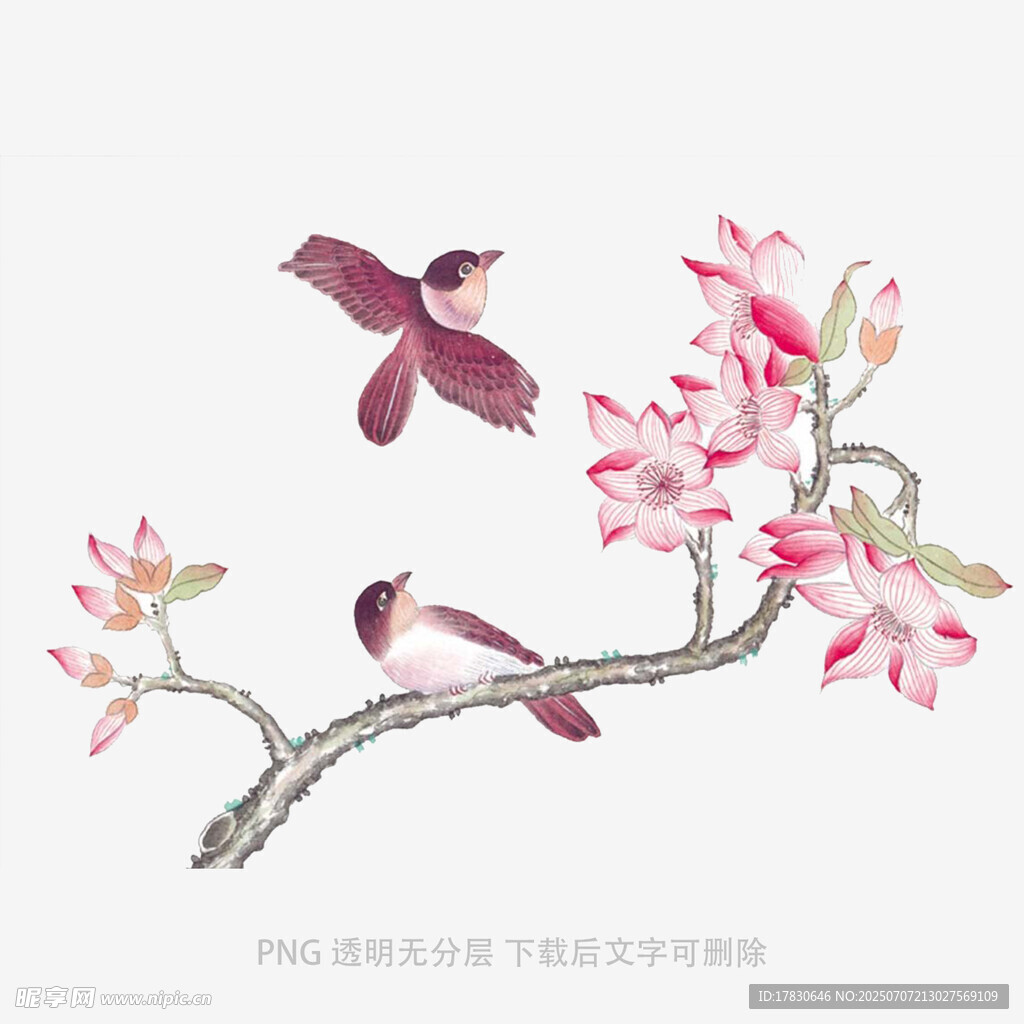 枝头双燕伴繁花