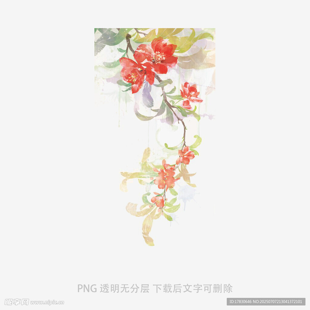 花鸟