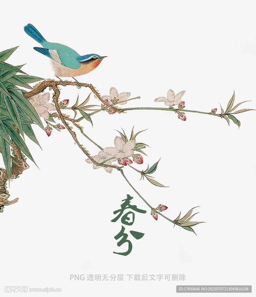 春分时节枝头小鸟赏桃花