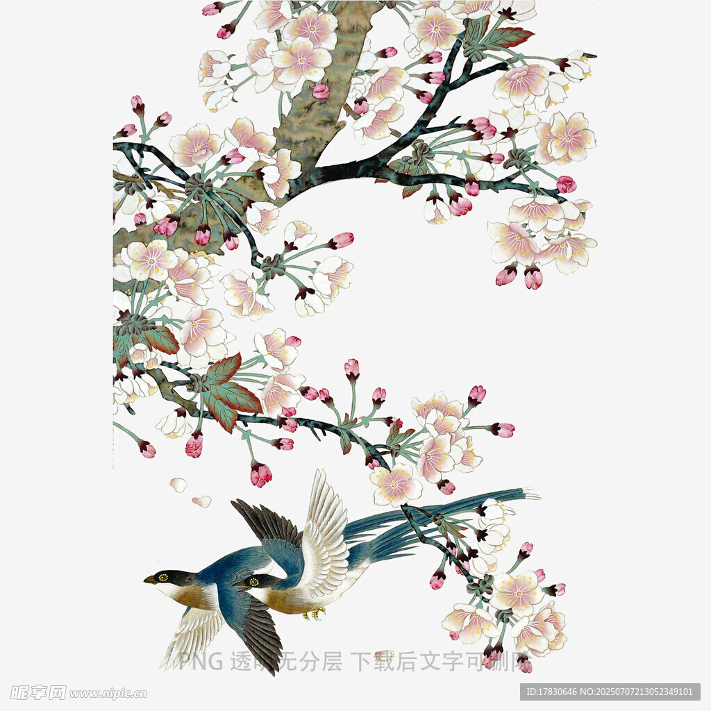 花鸟