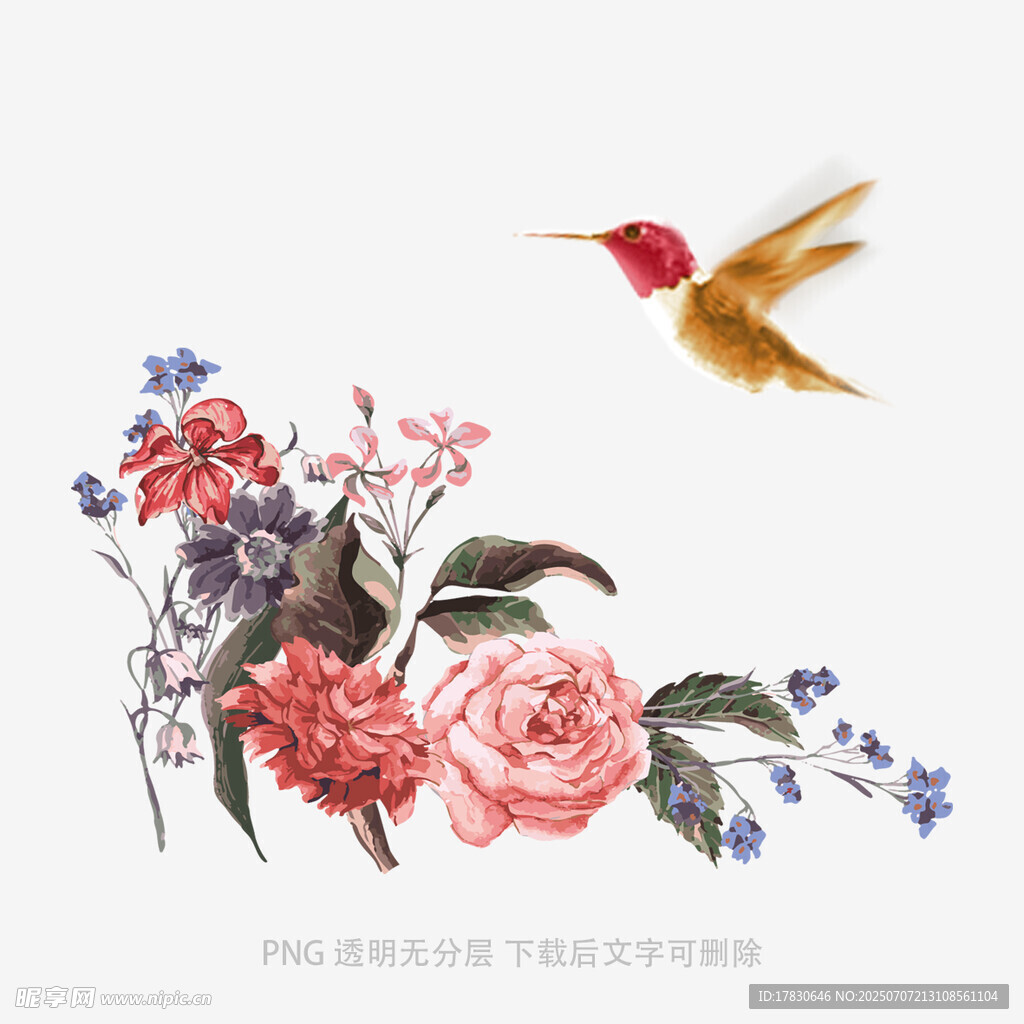蜂鸟伴花图