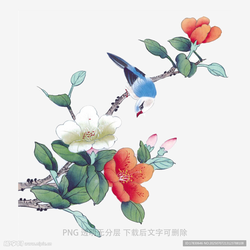 花鸟