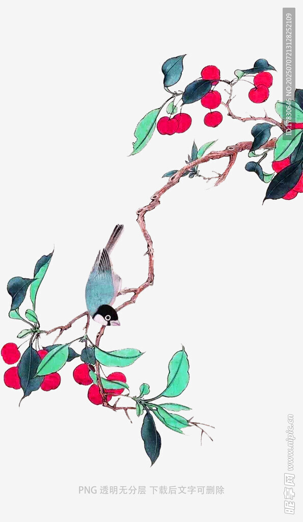 枝头红果绿叶装饰画