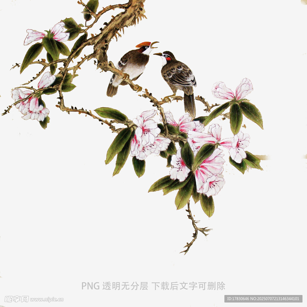 枝头双鸟伴繁花