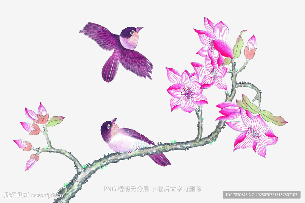 枝头双鸟伴繁花
