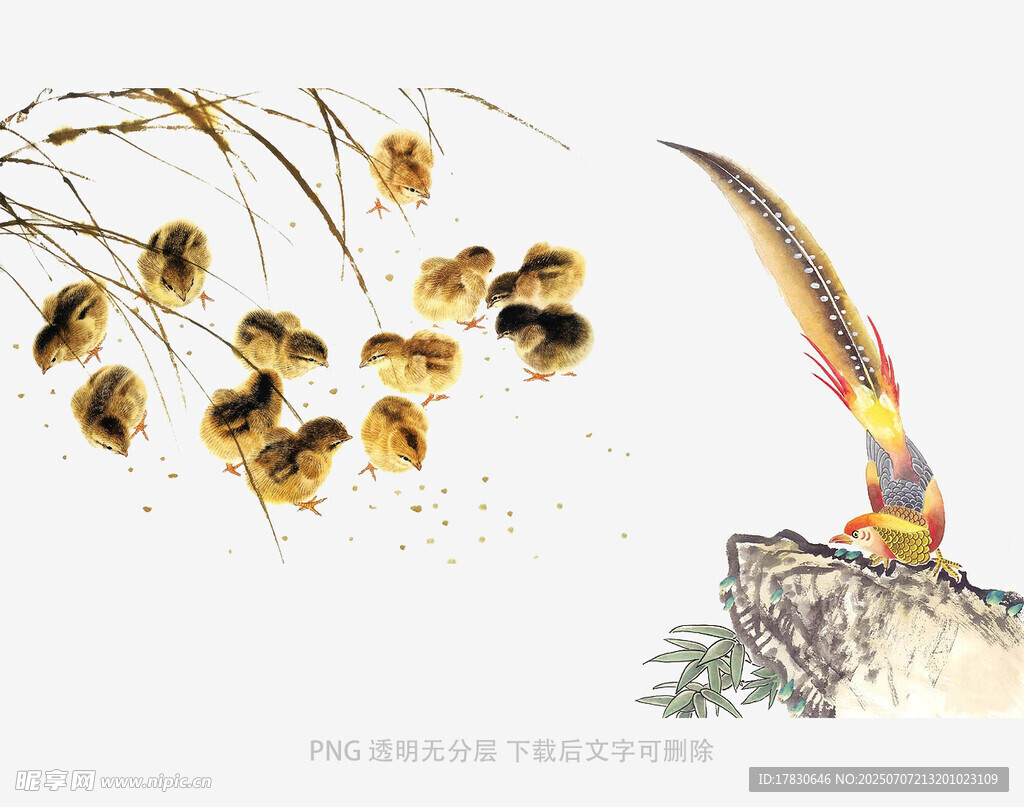 花鸟