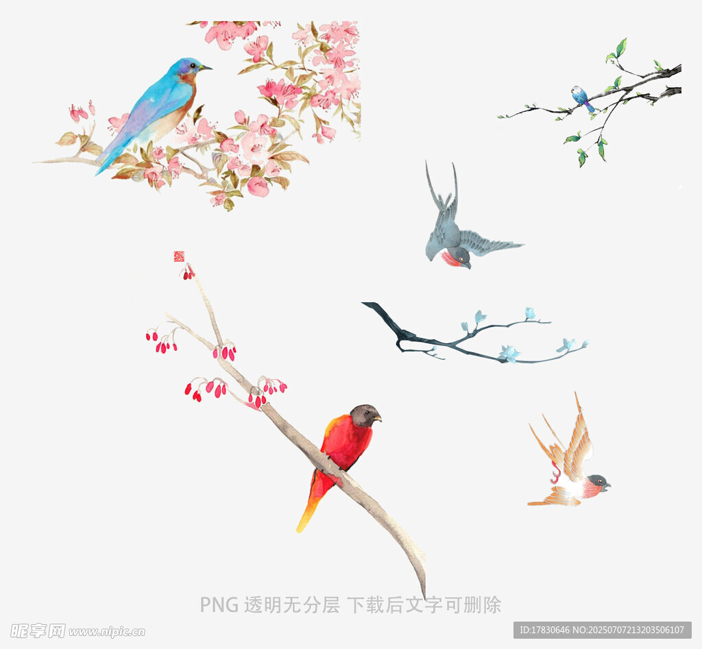 花鸟