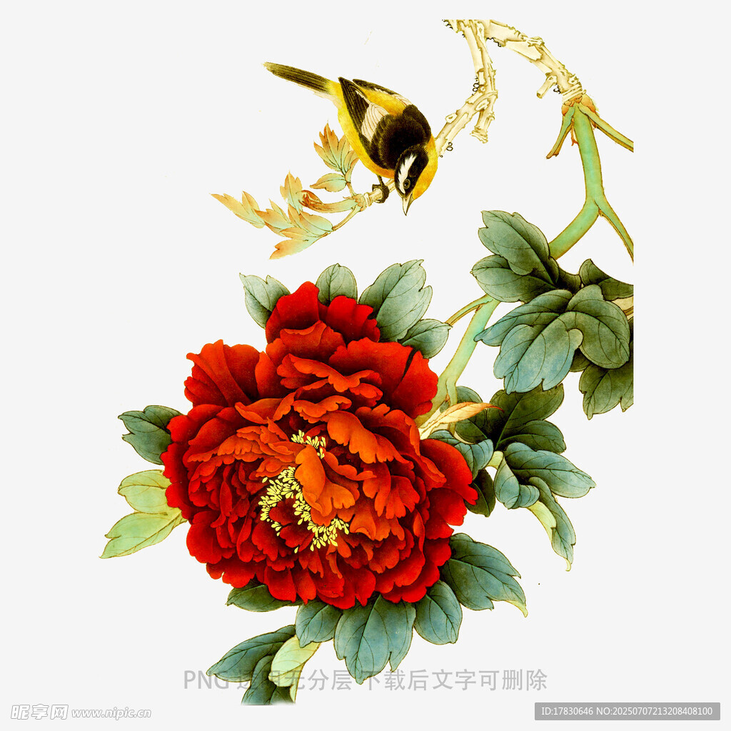 牡丹枝头鸟