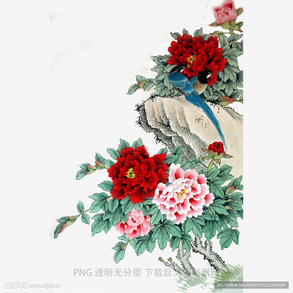 国画牡丹花鸟图