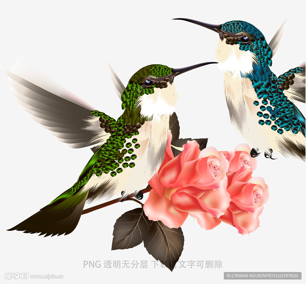 蜂鸟与花的灵动瞬间